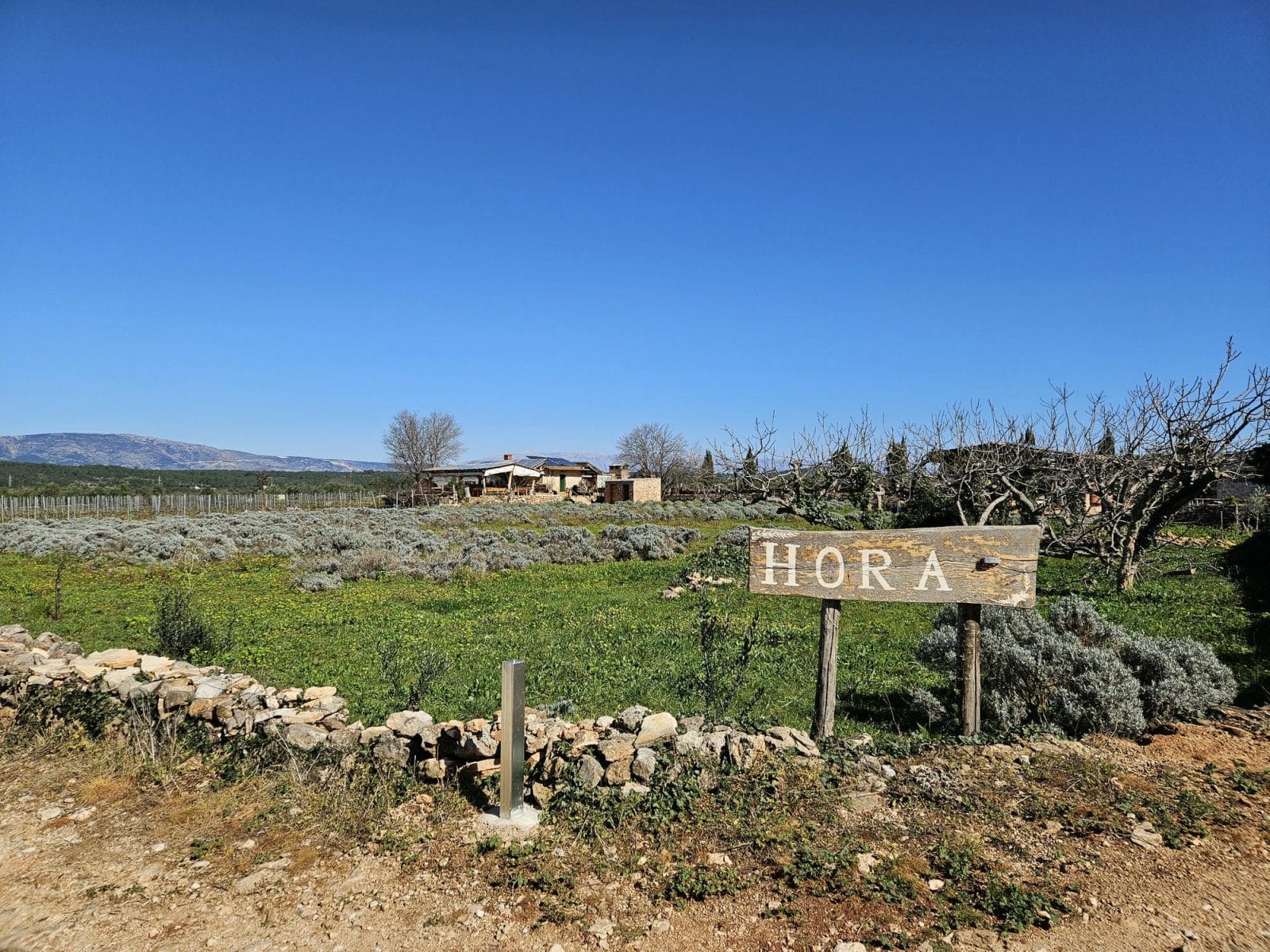 Hora Hvar