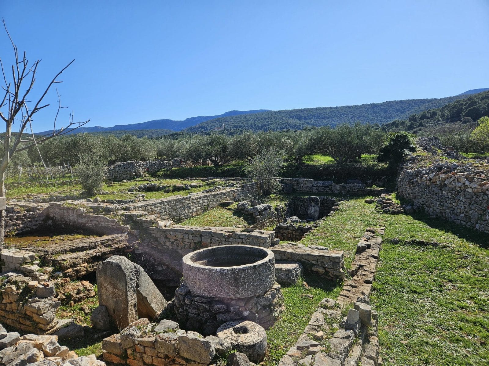 Kupinovik roman villa rustica