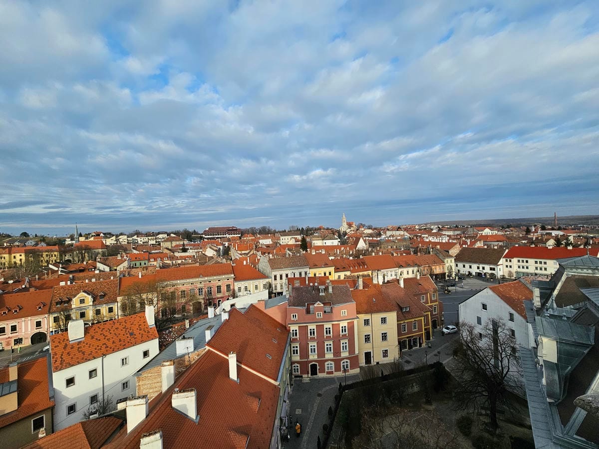 Tower View