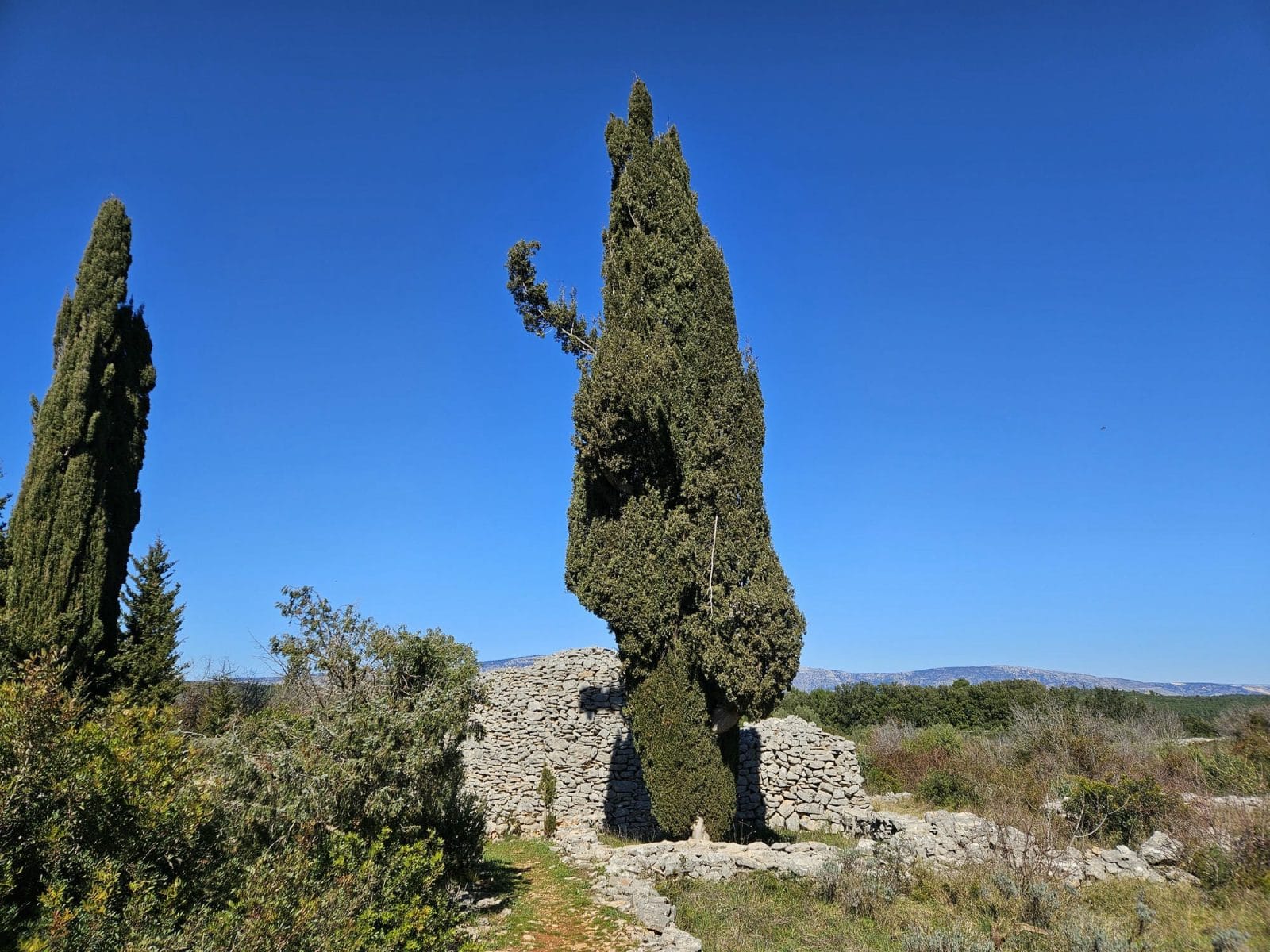 Trim Stari Grad