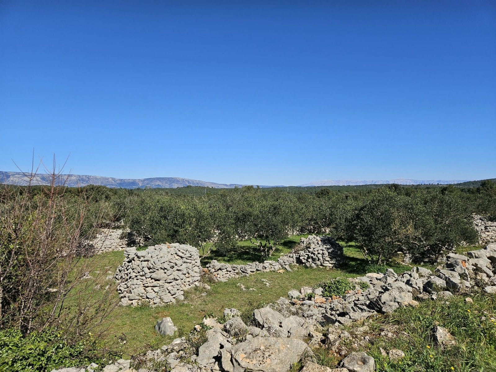 UNESCO