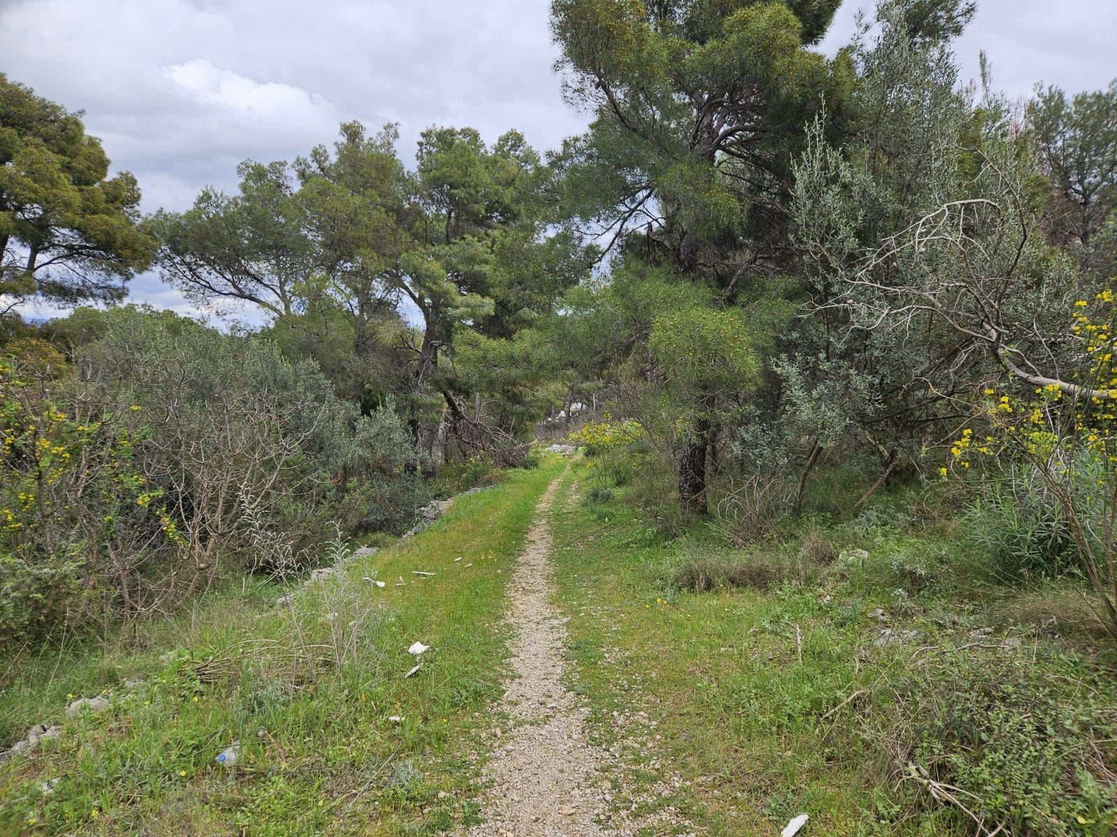 Ciovo Island Hiking Trails