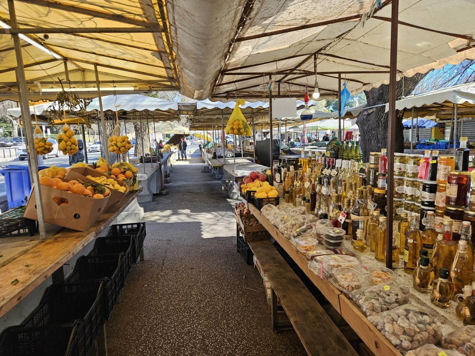 Olive Oils