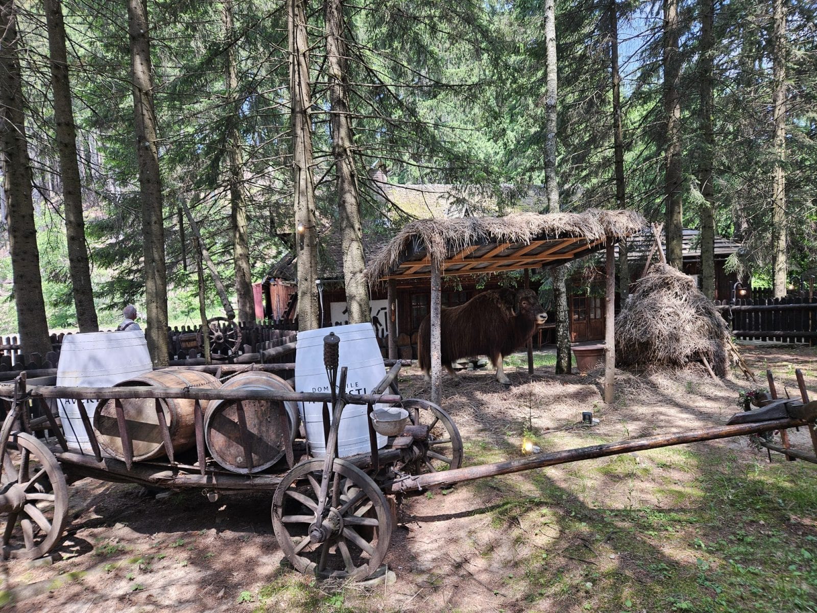 Restaurant Șura Dacilor Theme