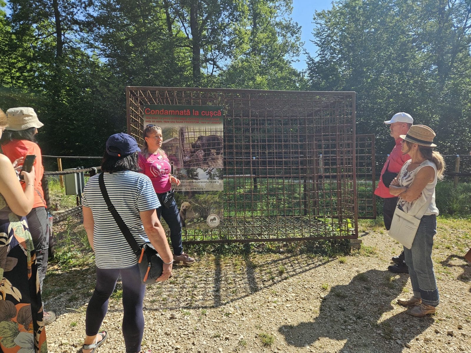 CAGE Example