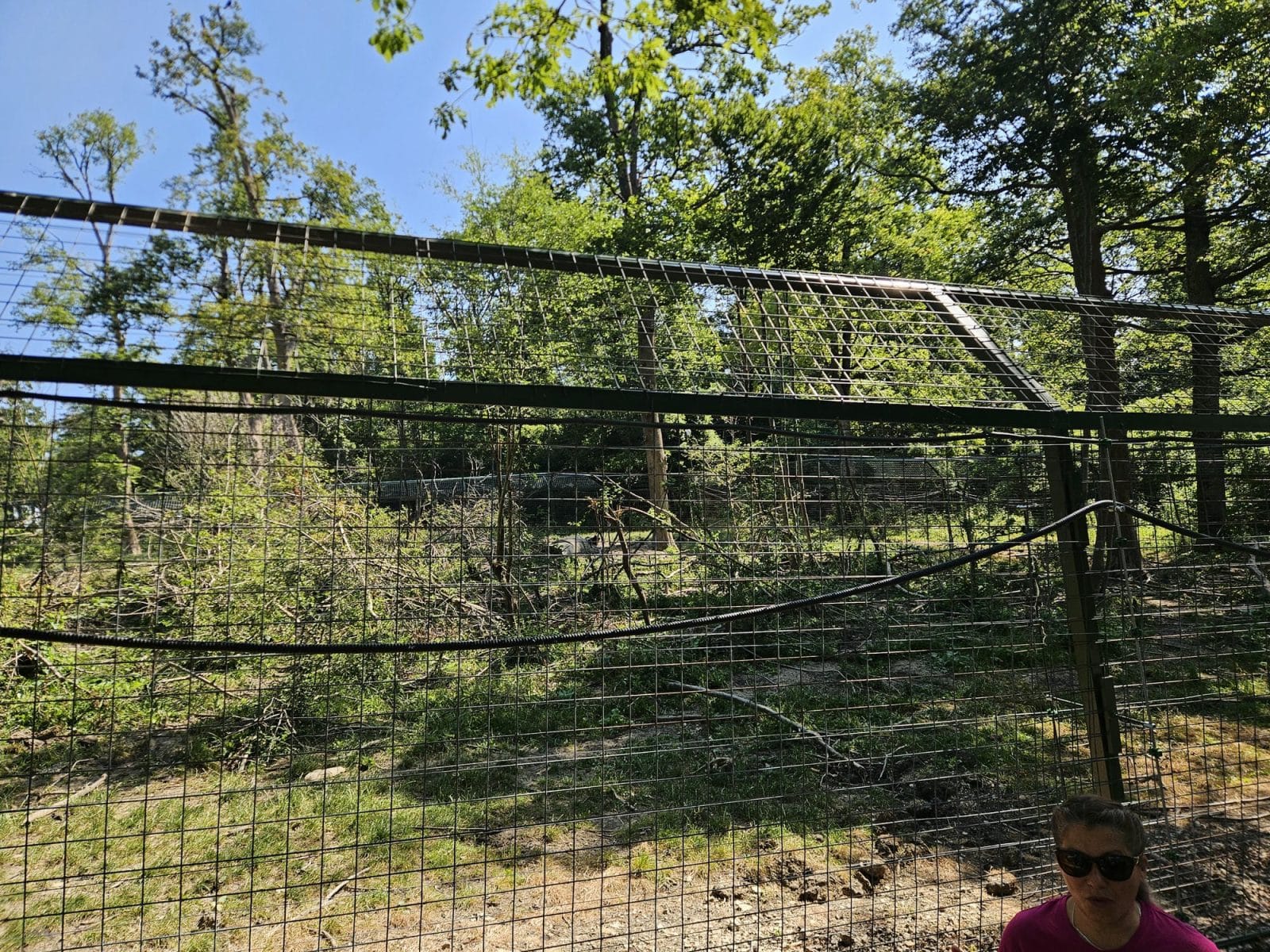 Cubs Enclosure