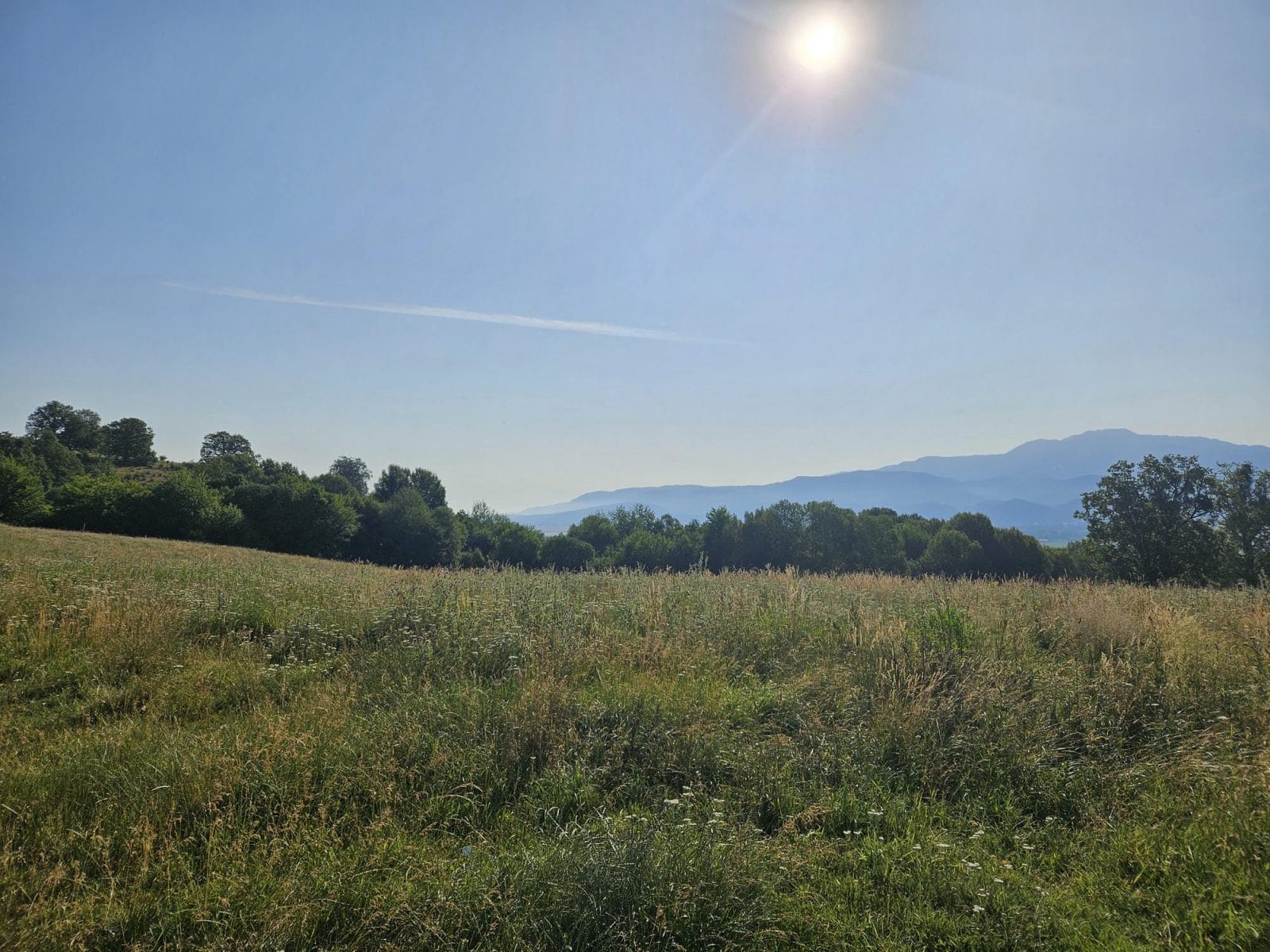 Postavarul Mountain