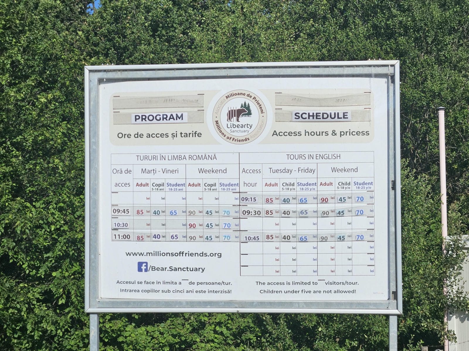 Schedule