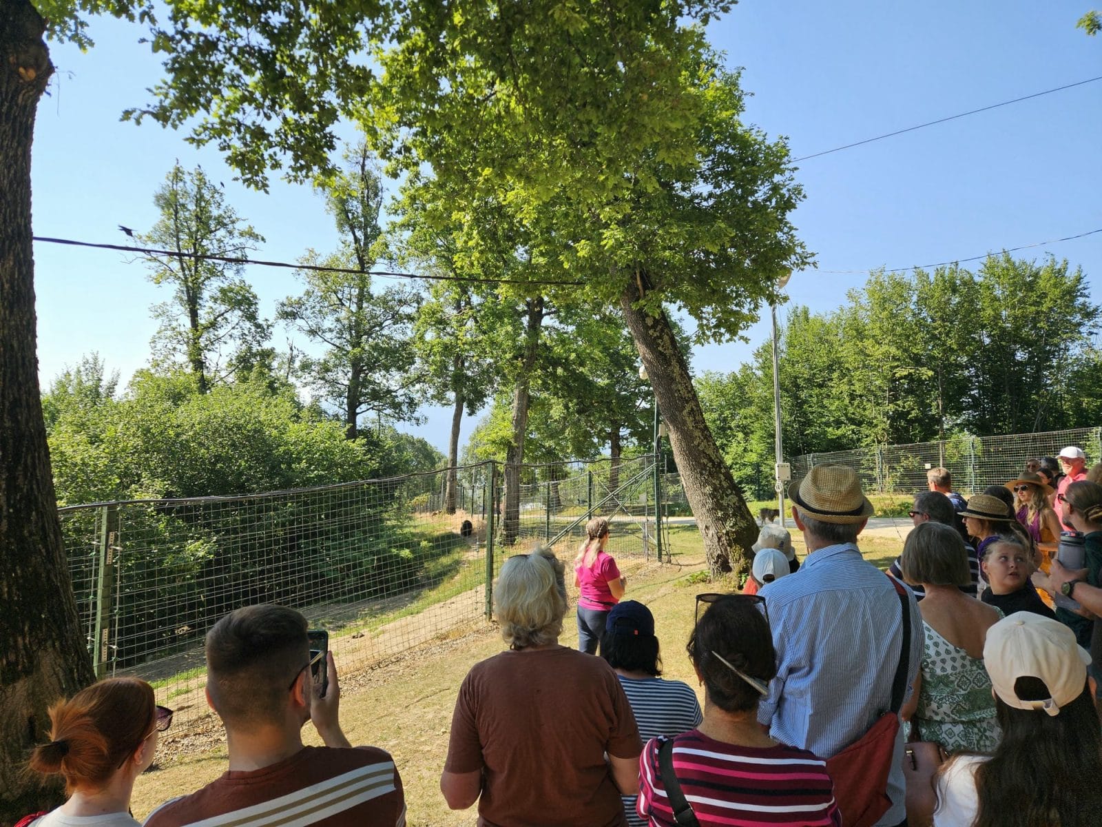 Tour Group