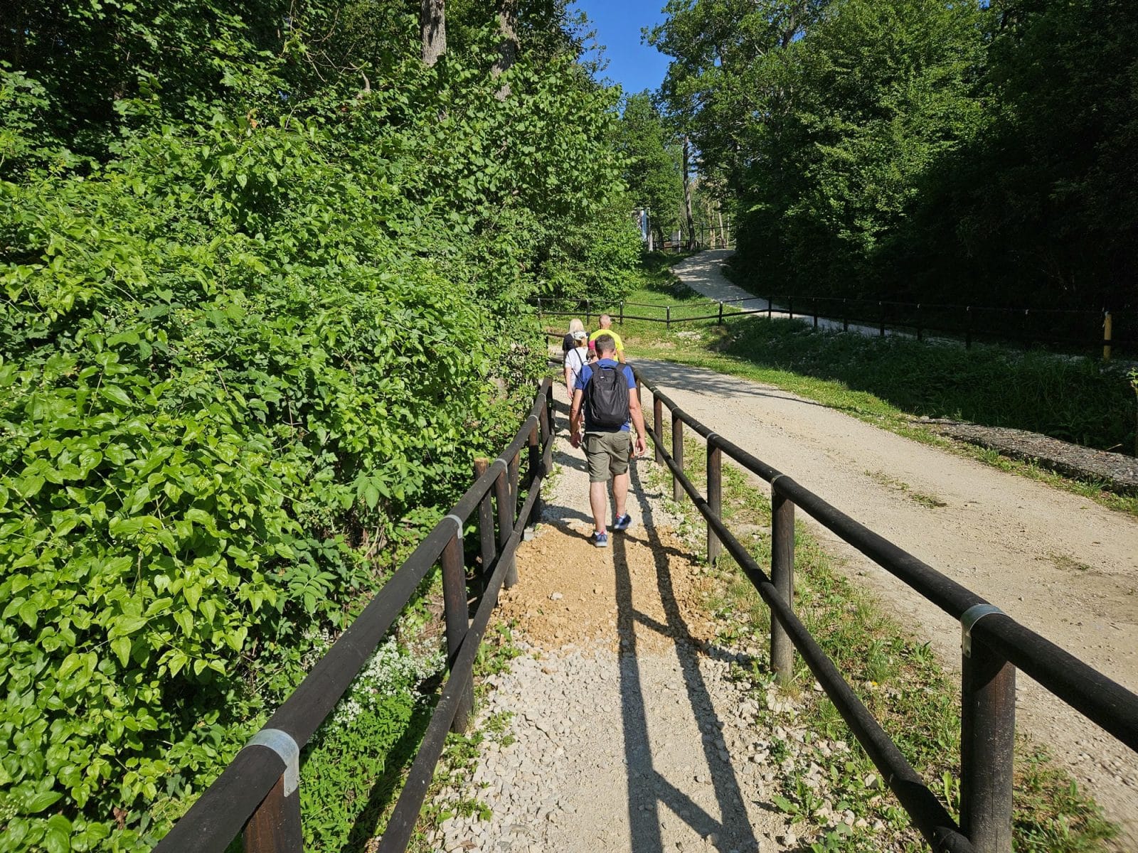 Walk to first bear