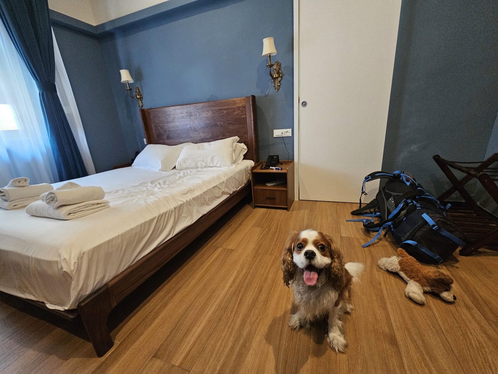 Dog Friendly Hotel Livorno