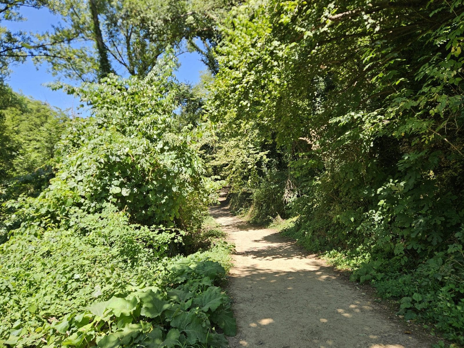 Hiking trail