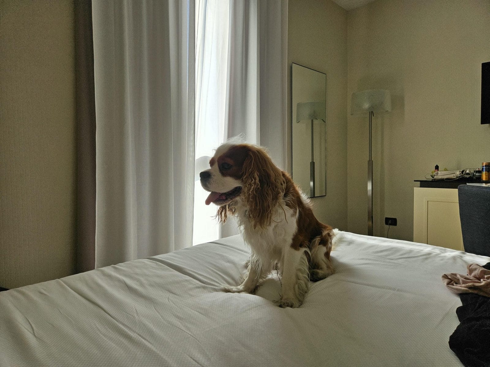 Hotels Siena