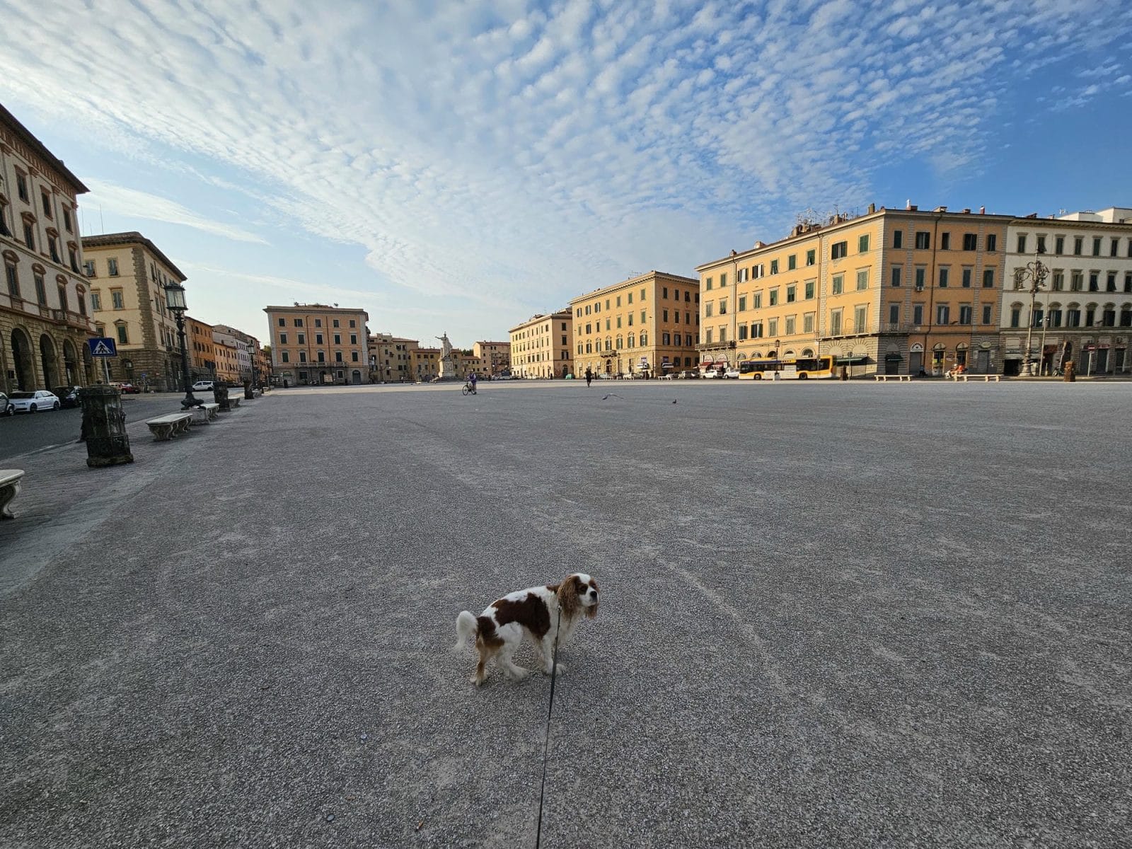 Piazza della Repubblica Dog Walk