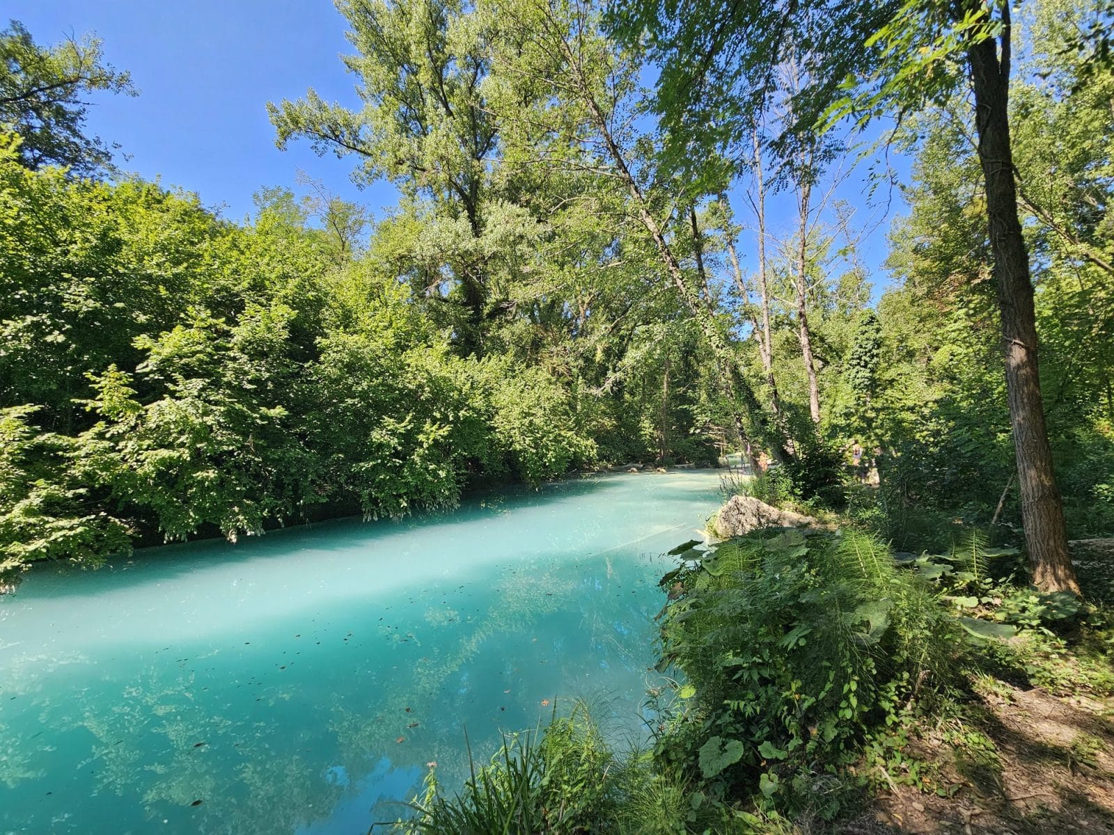 River Swimming