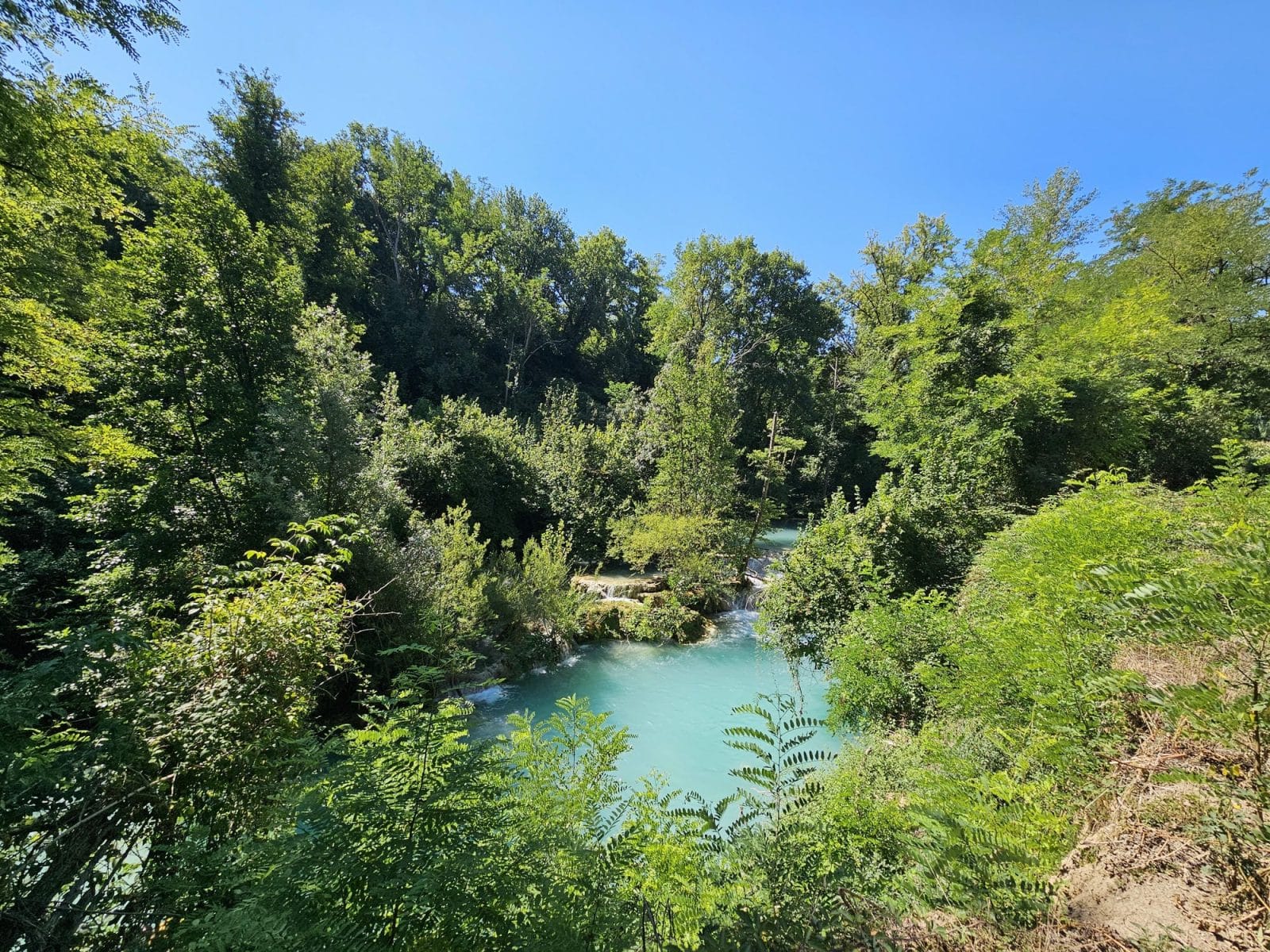 River Viewpoint