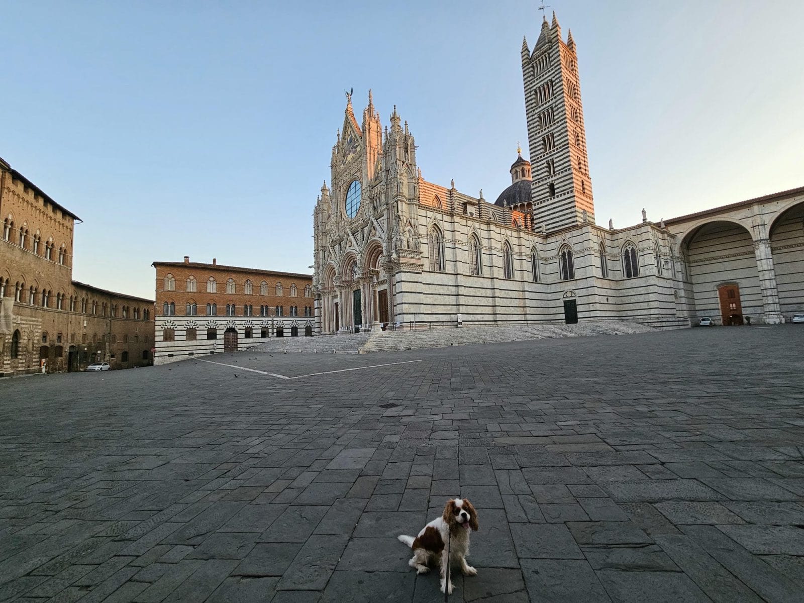 Siena Cathedral