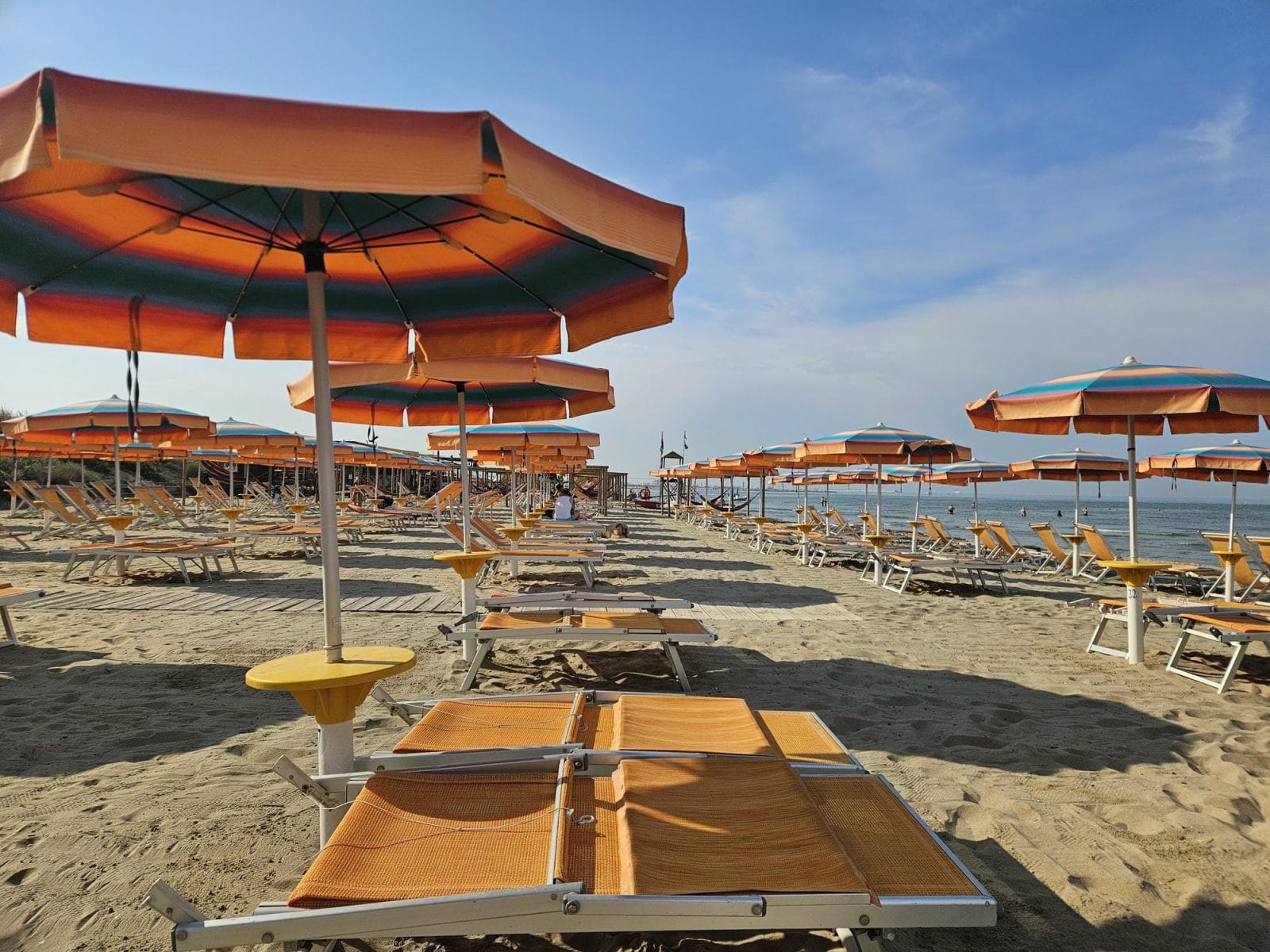 Single Fin Tuscany Dog Beach Sandy