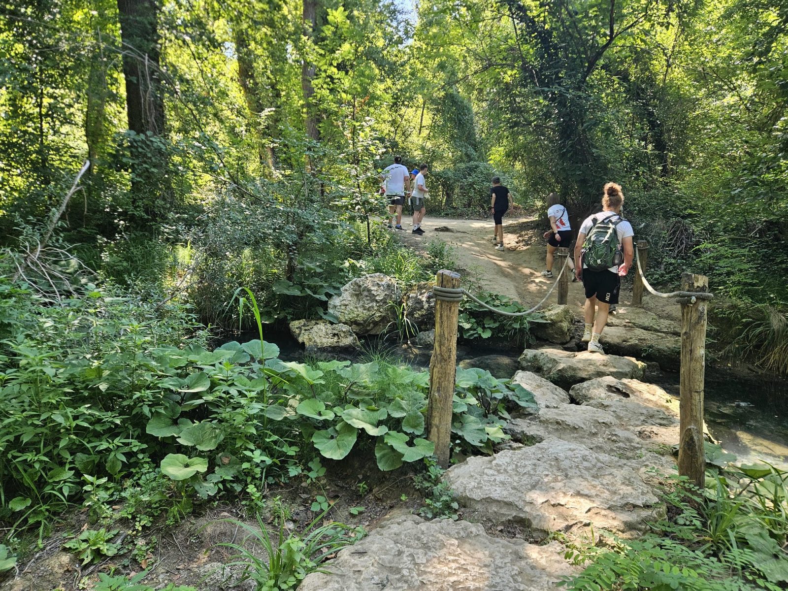 Stepping Stones
