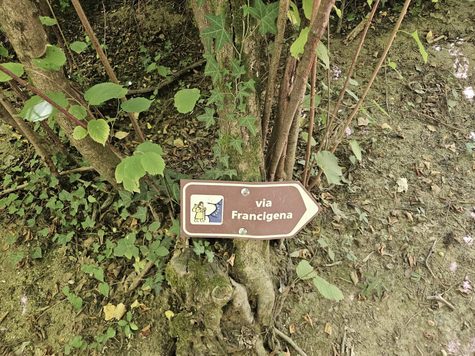 Via Francigena River