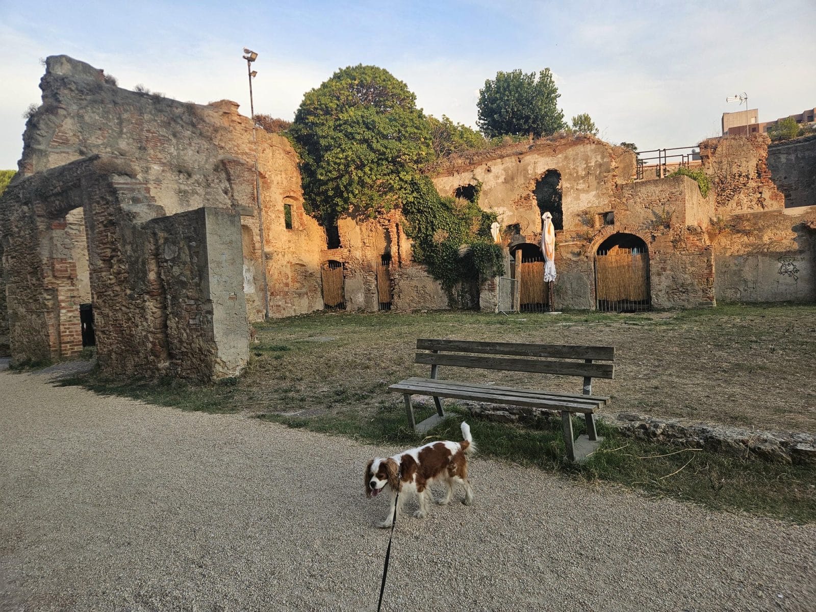 Fortezza Nuova Dog Walk`
