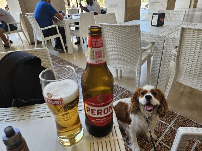 Italian Beer In Italy