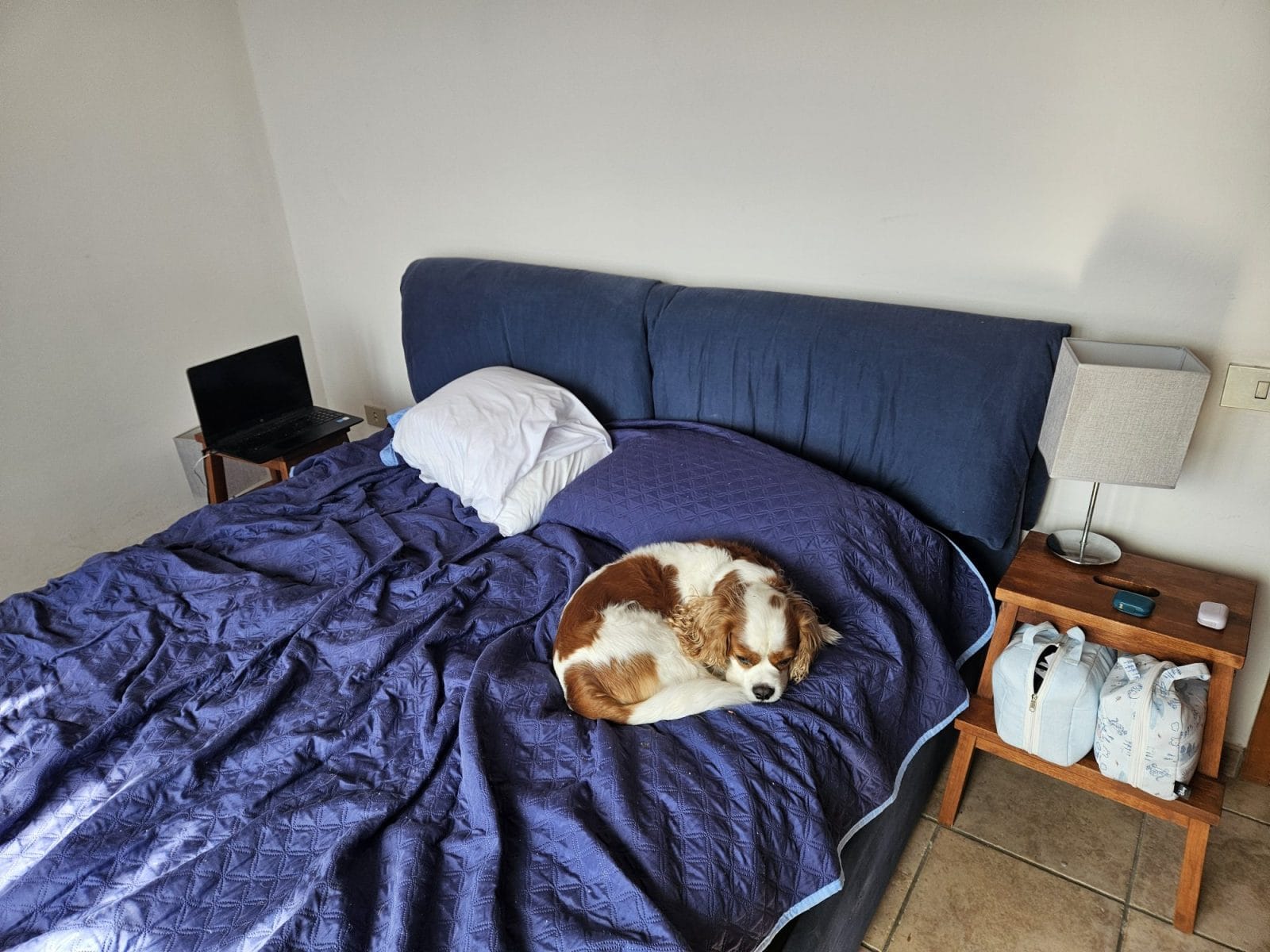 Nest Apartment Siena
