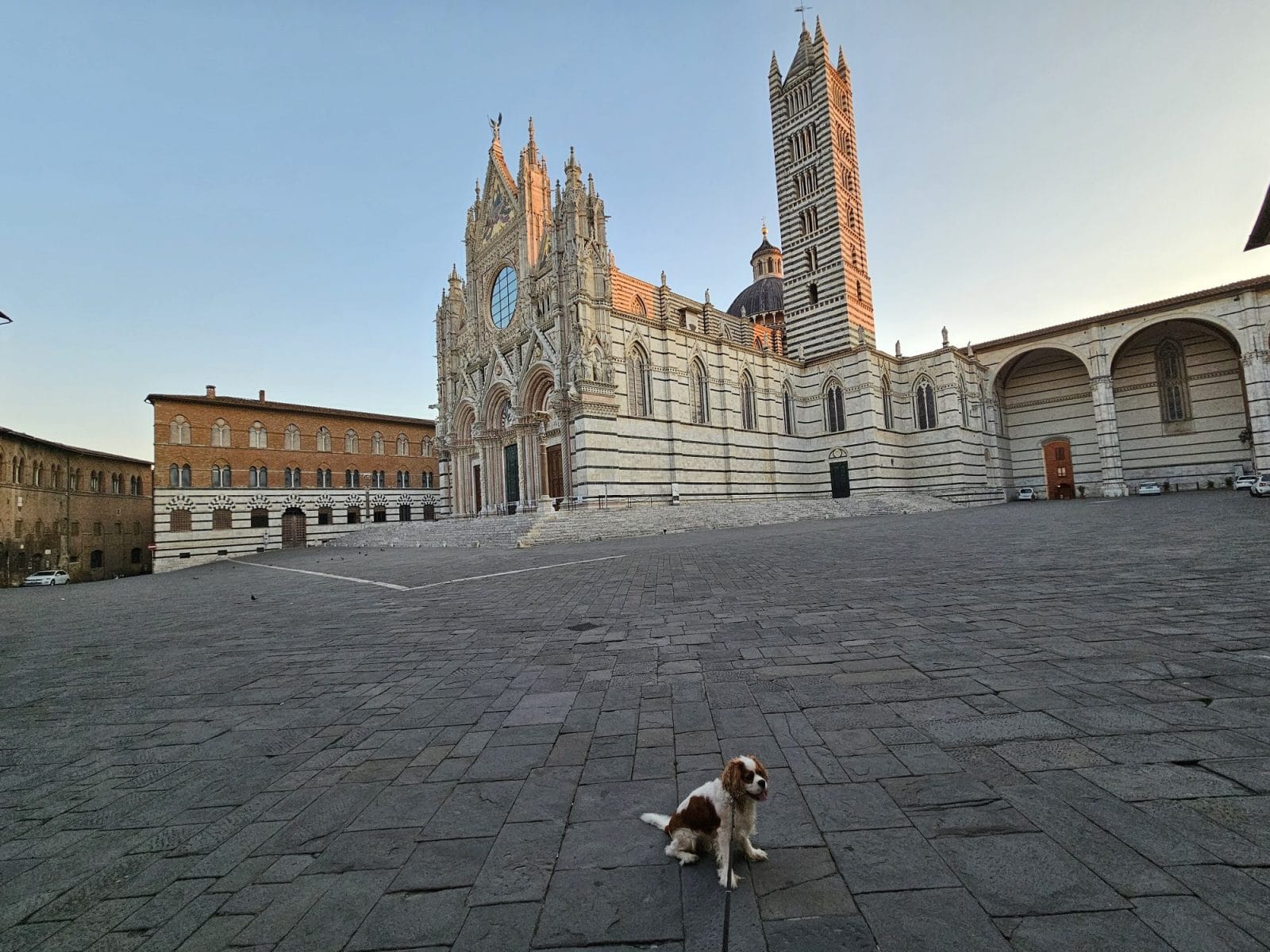 Golden Hour at the cathedral