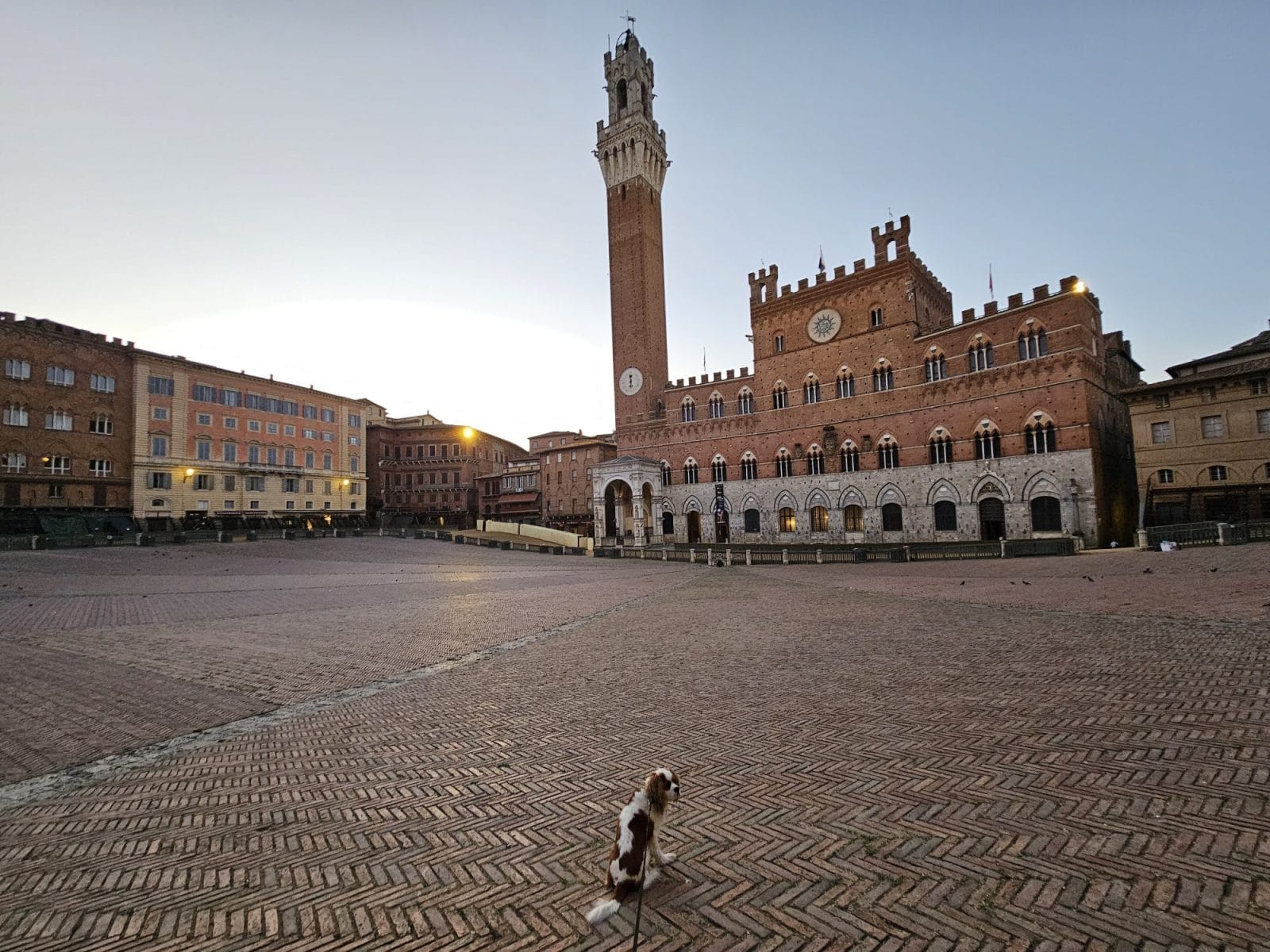 Is Siena Dog Friendly