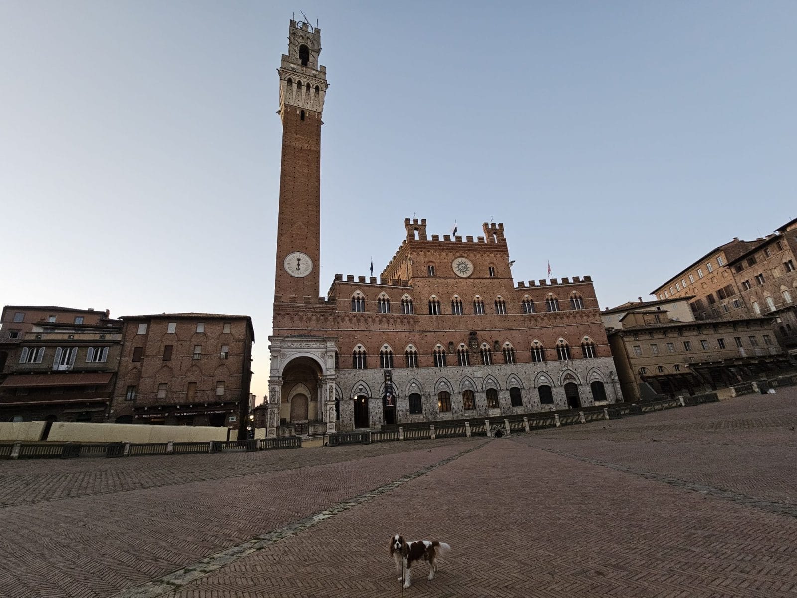 Piazza del Campo Henry
