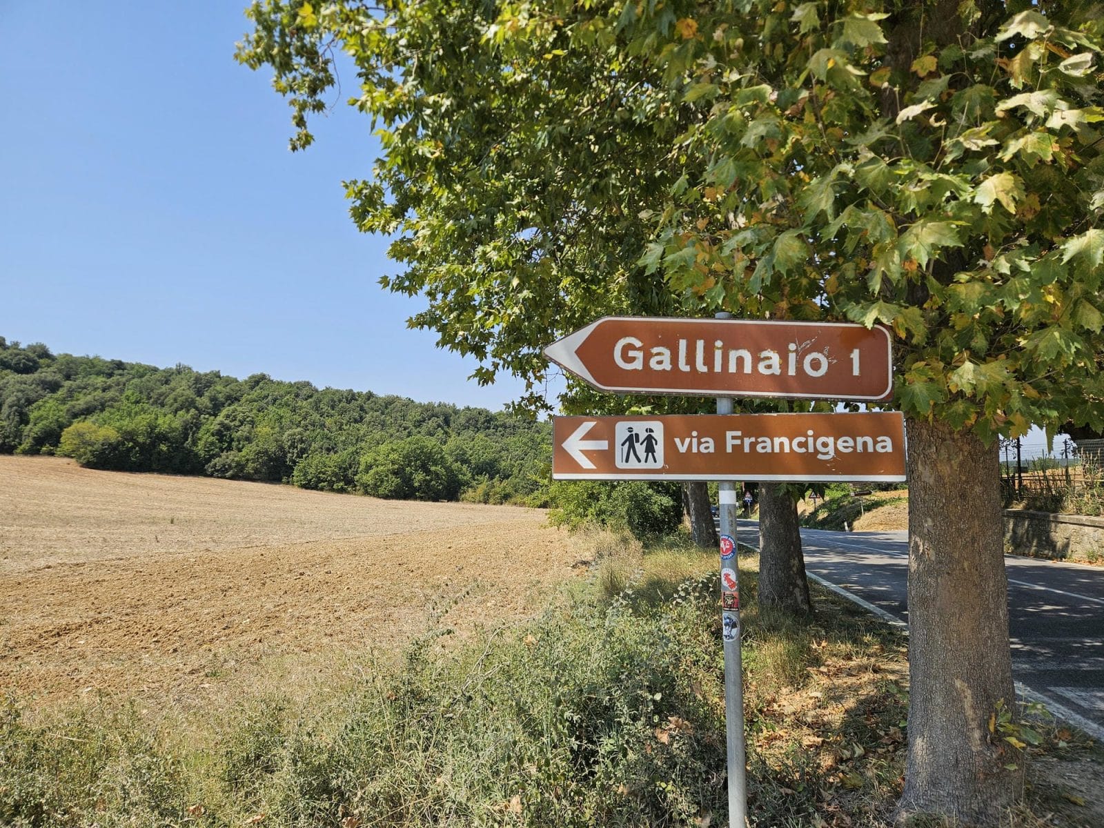 Pilgrimage Signs