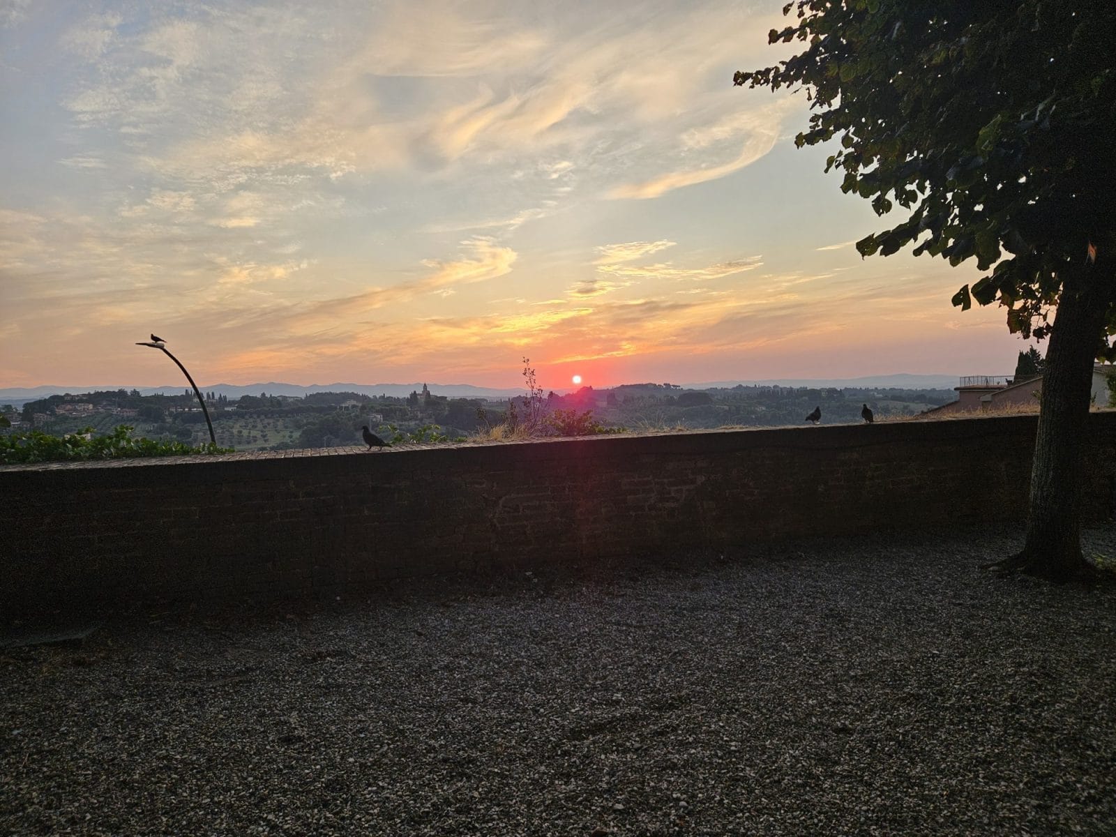 Sunrise Siena