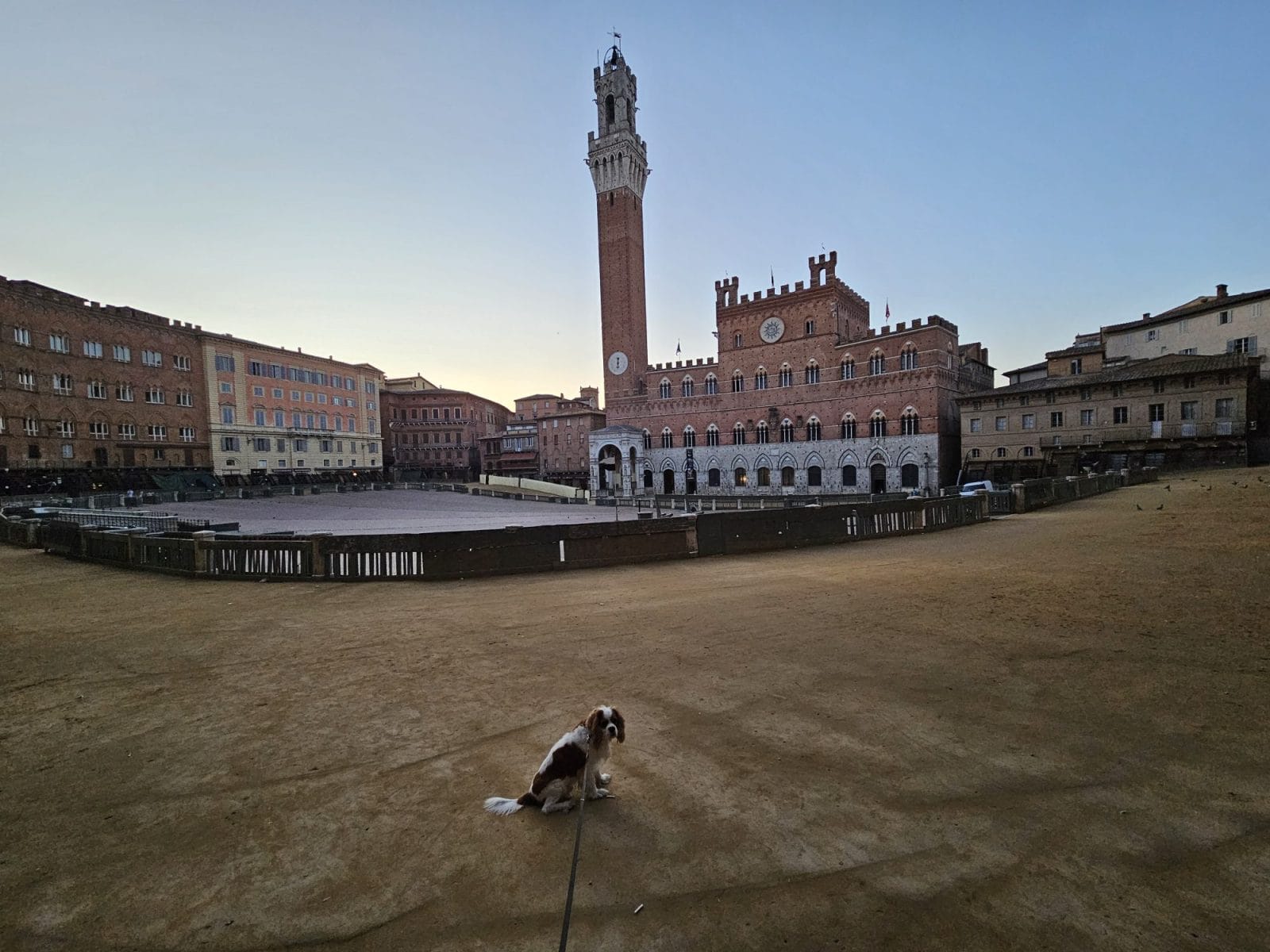 sunrise Dog walk Piazza del Campo