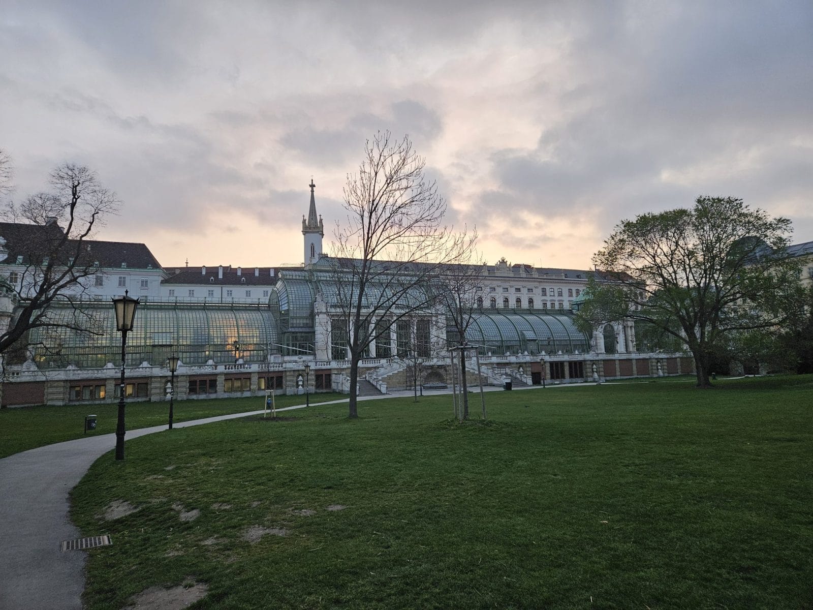 Palmenhaus sunrise