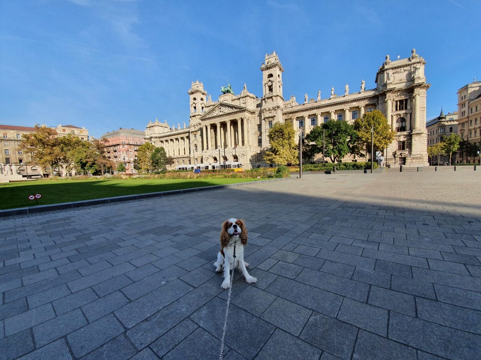 Palace of Justice