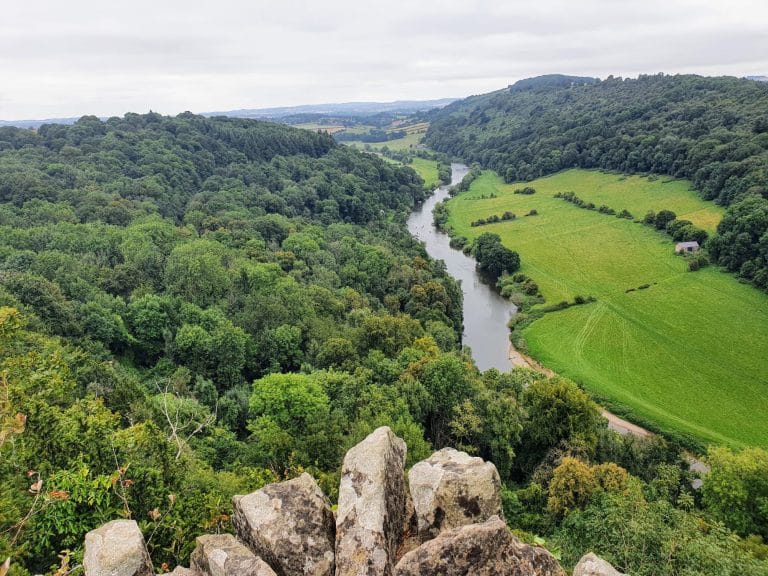 Wye Valley Forest