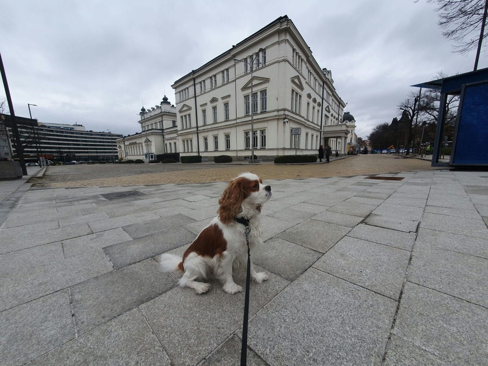 National Assembly of the Republic of Bulgaria
