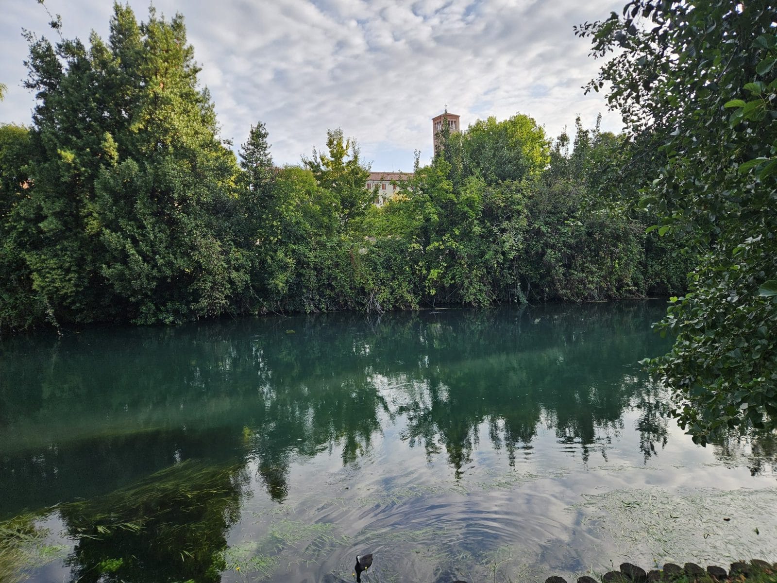 River Views