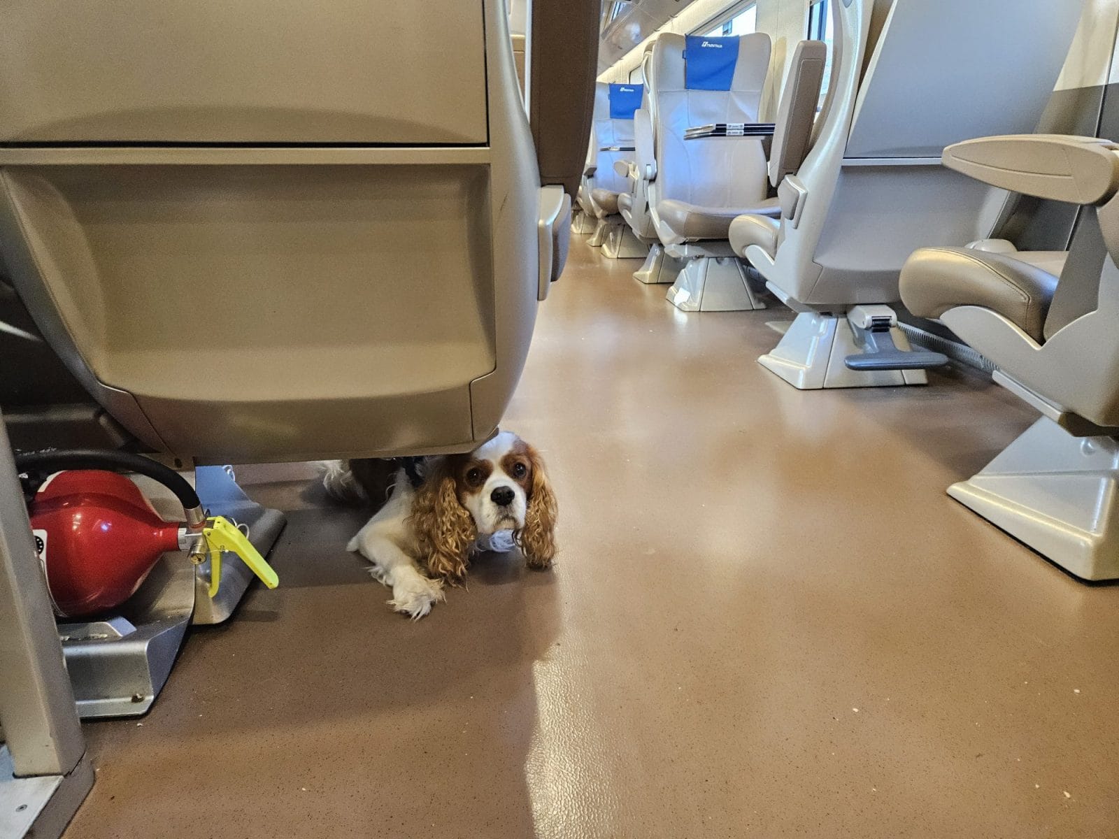 Train to Treviso