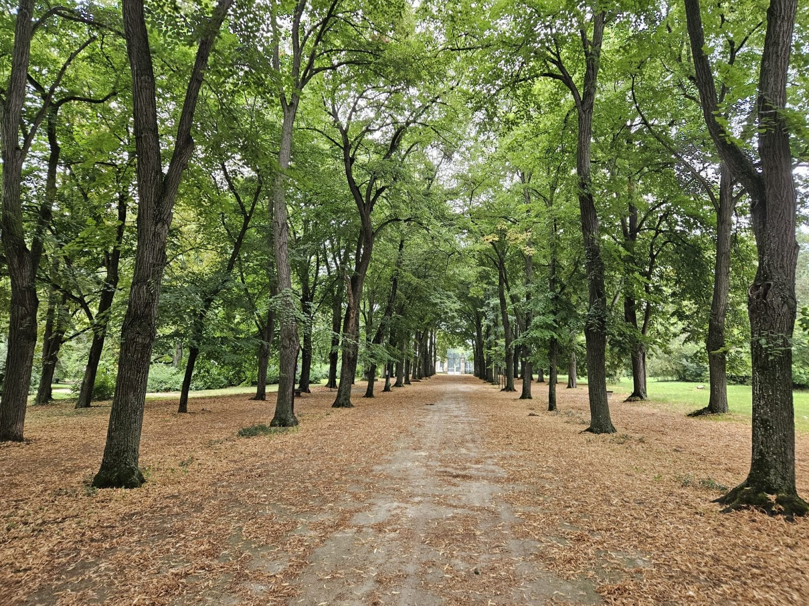Angolpark