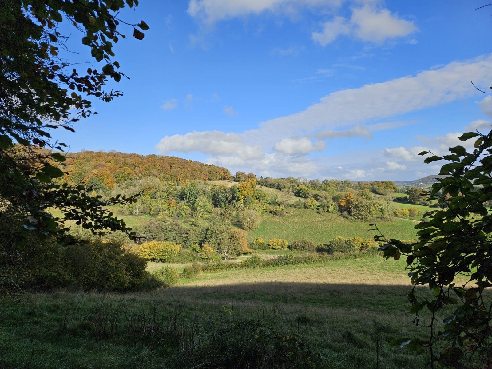 Autumn Edge