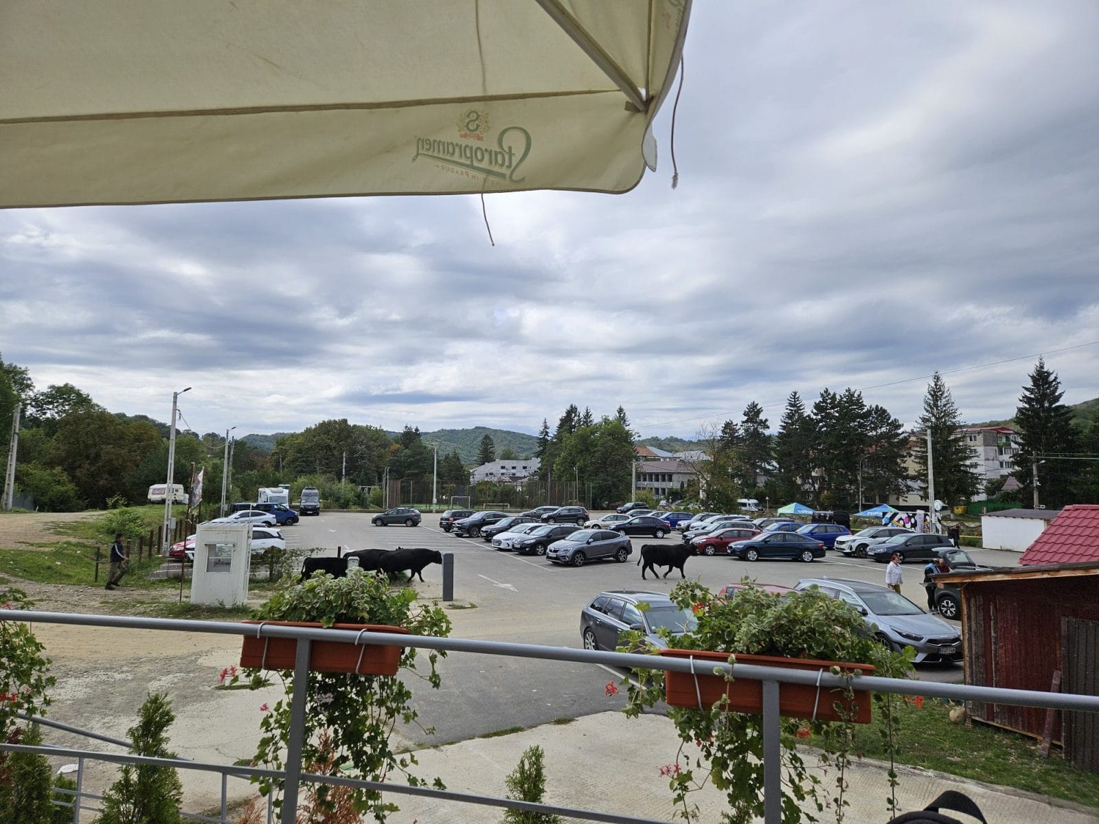 Car Park