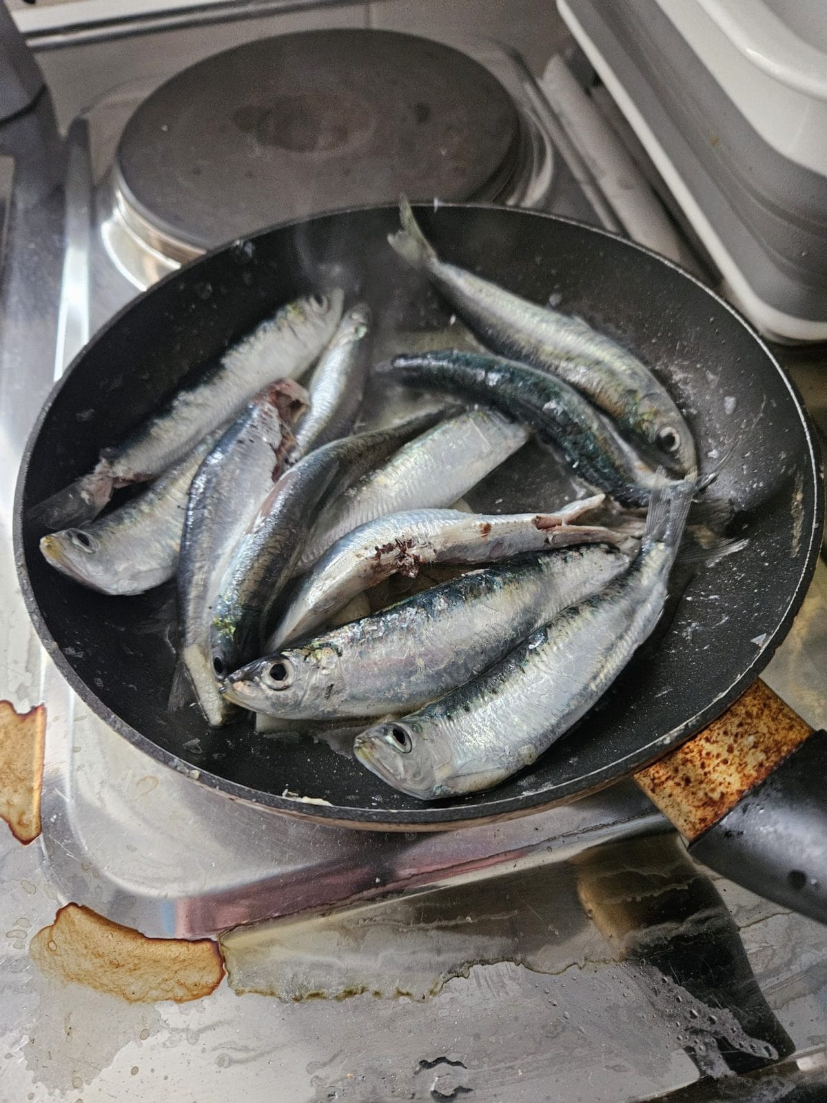 Sardines Cooked