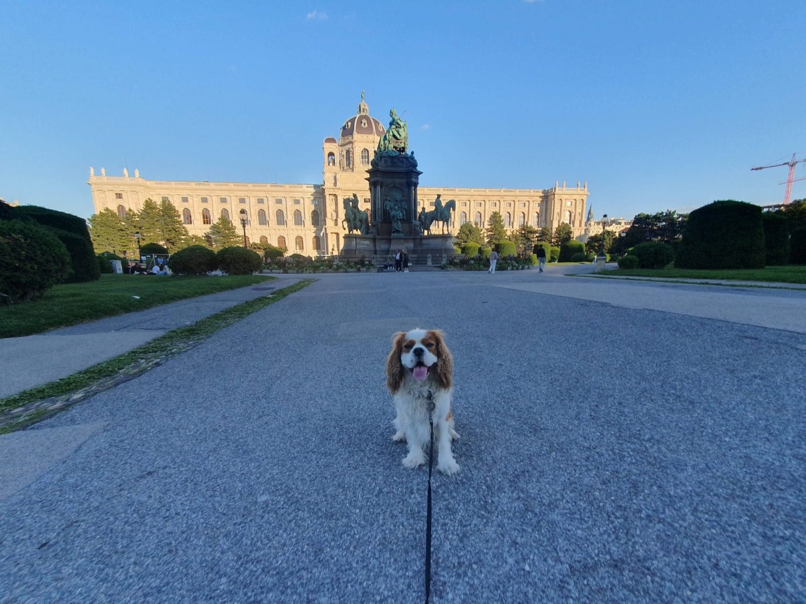Kunsthistorisches Museum Wien Dog