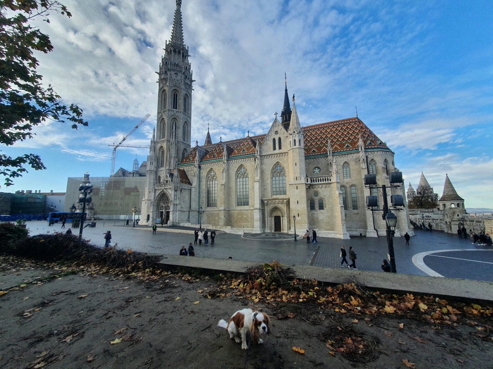 Matthias Church Dog Walk