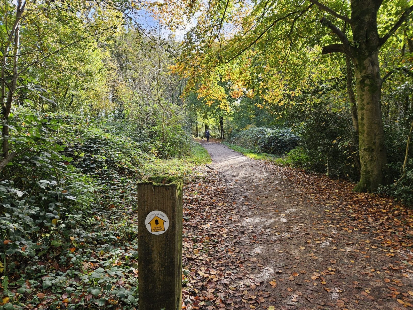 Standish Woods Gloucestershire