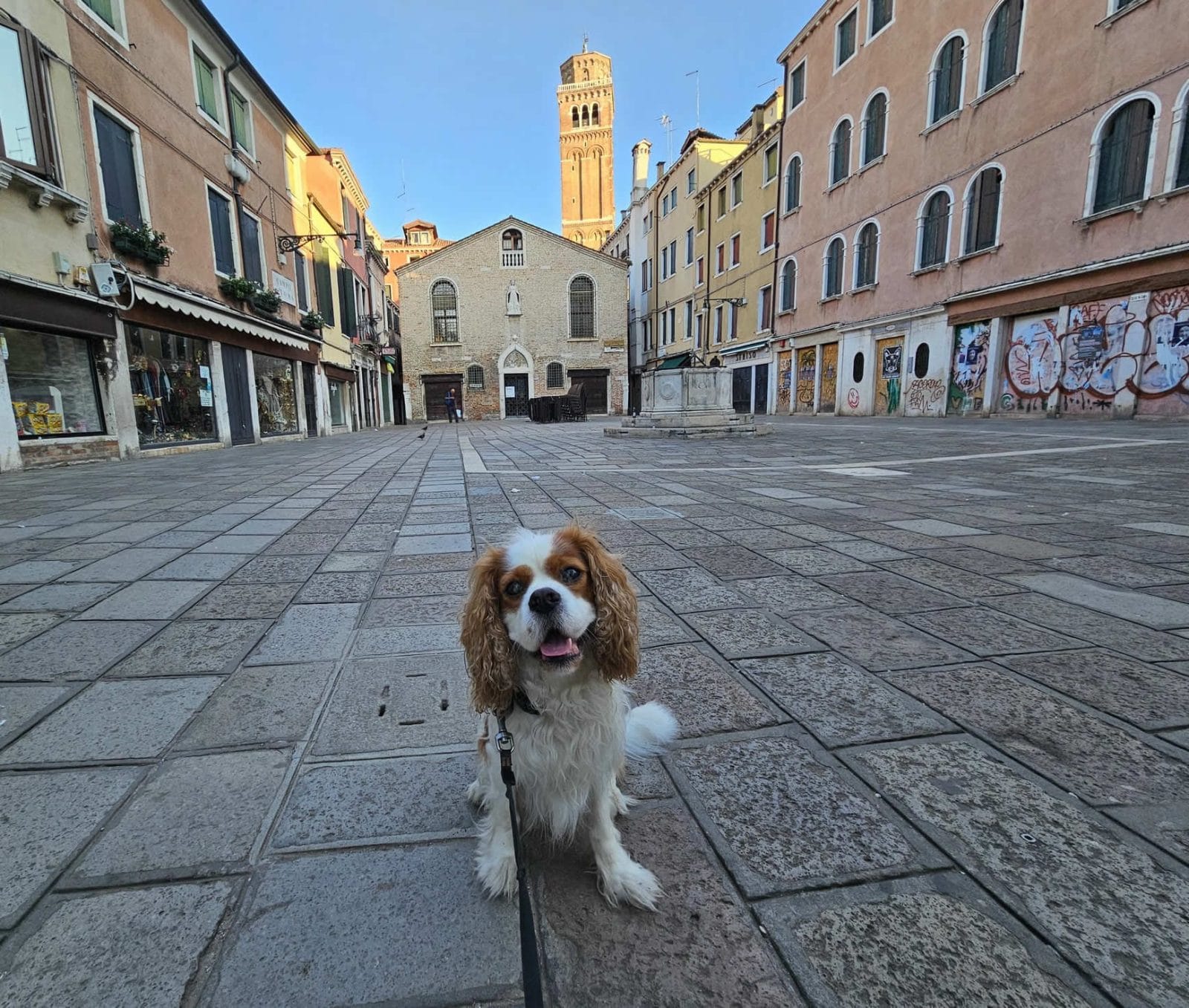 Chiesa di San Tomà Dog