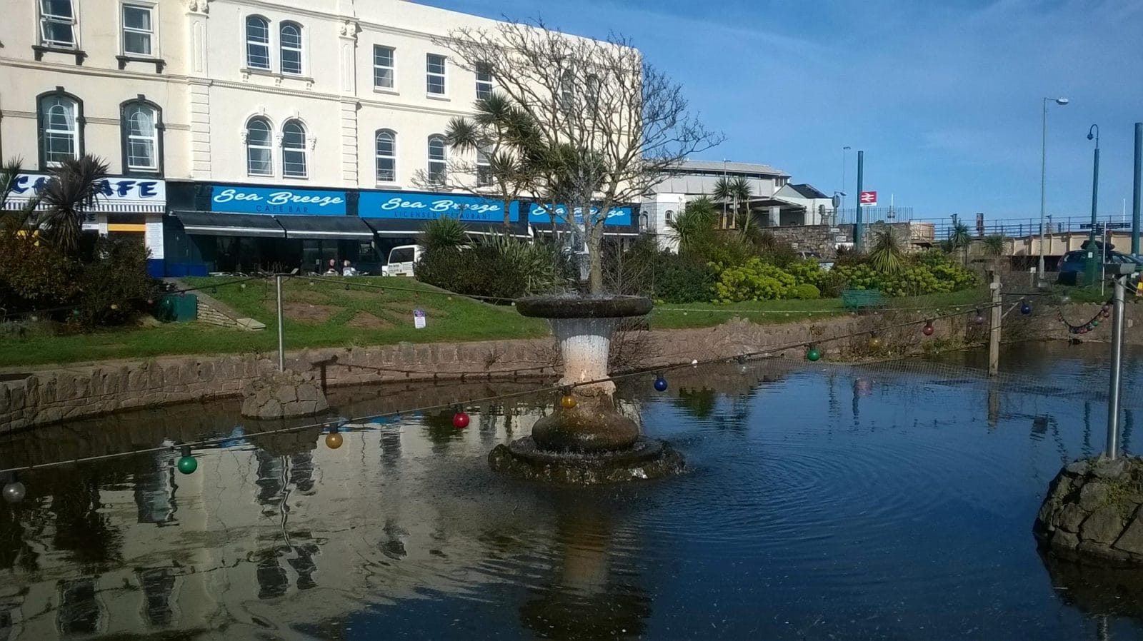 Dawlish Town