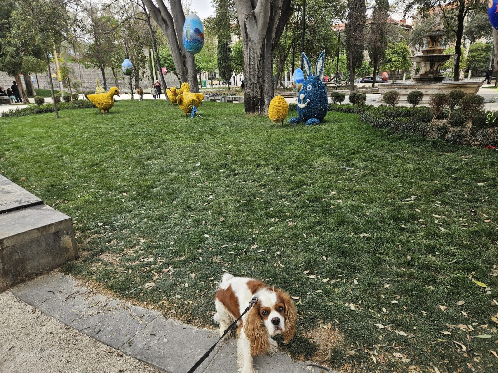 Easter Split