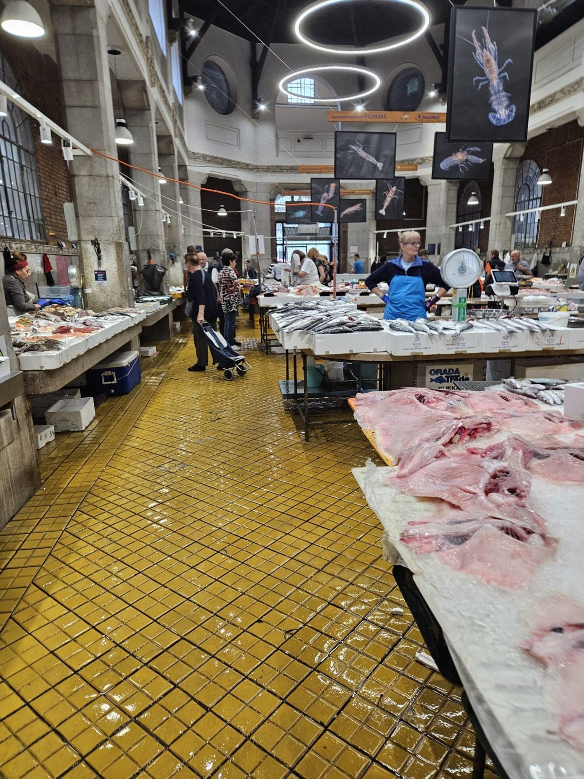Fish market Ray Wings